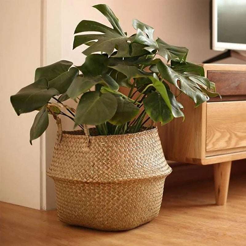 Decoration